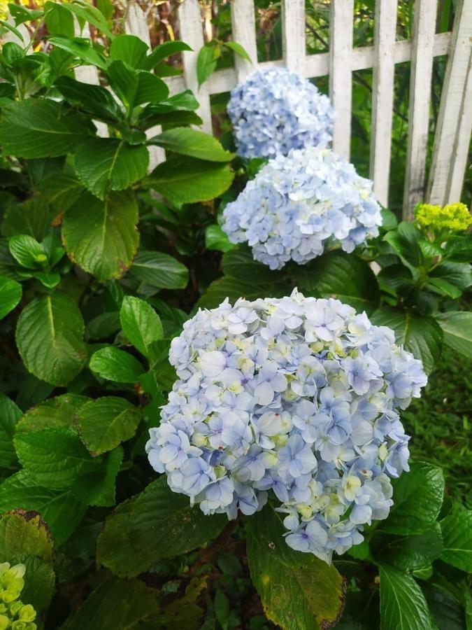 Recanto Das Flores Сан-Томе-дас-Летрас Екстер'єр фото