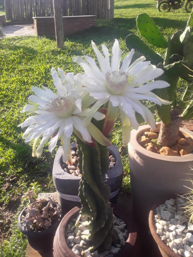 Recanto Das Flores Сан-Томе-дас-Летрас Екстер'єр фото