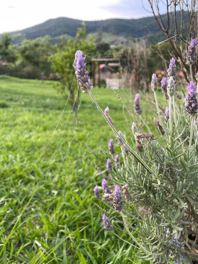 Recanto Das Flores Сан-Томе-дас-Летрас Екстер'єр фото